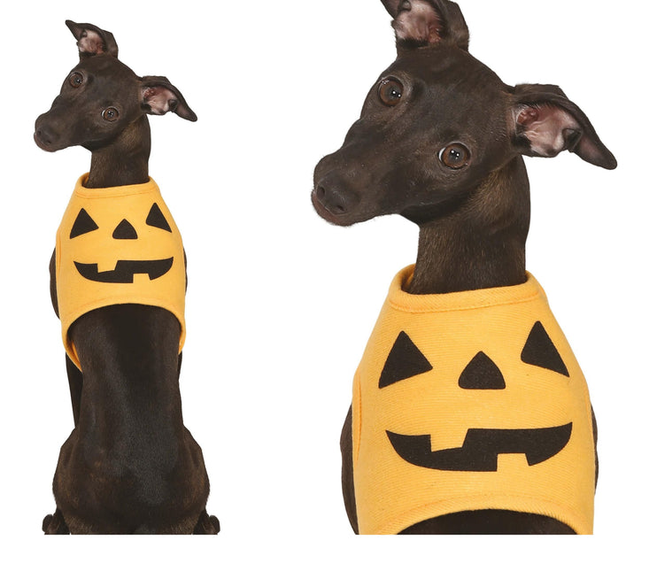 Halloween Animales Disfraz Calabaza Mascota