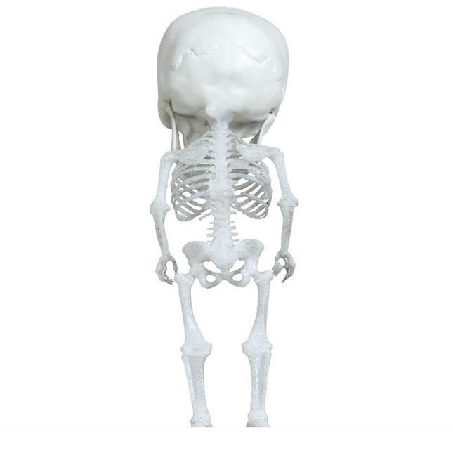 Adorno Colgante Halloween Esqueleto 15cm