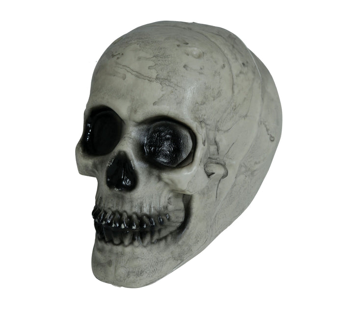 Calavera Halloween Blanca 20cm