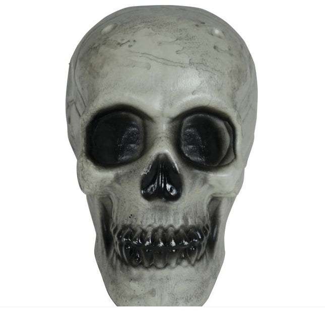 Calavera Halloween Blanca 20cm