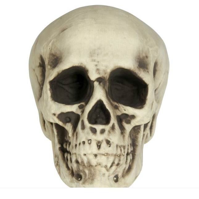 Calavera Halloween Espuma Blanca 20cm