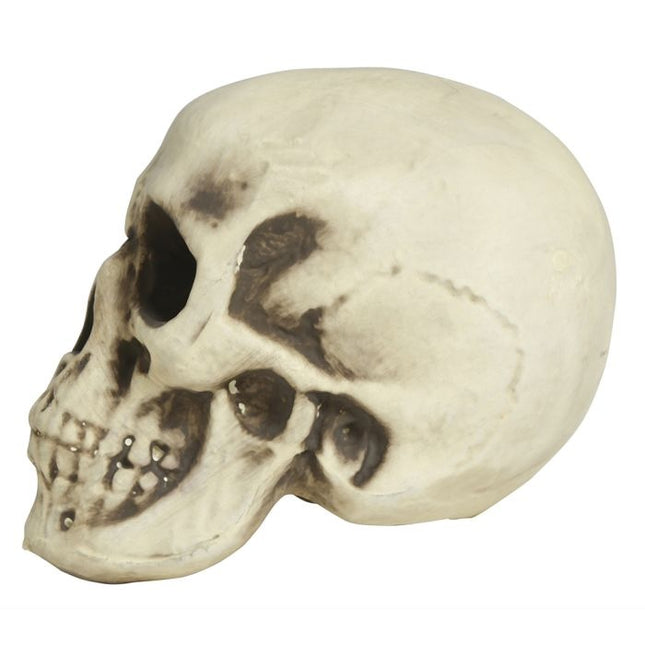 Calavera Halloween Espuma Blanca 20cm