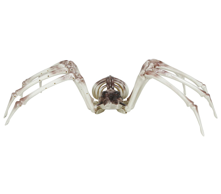 Halloween Araña Esqueleto 85cm