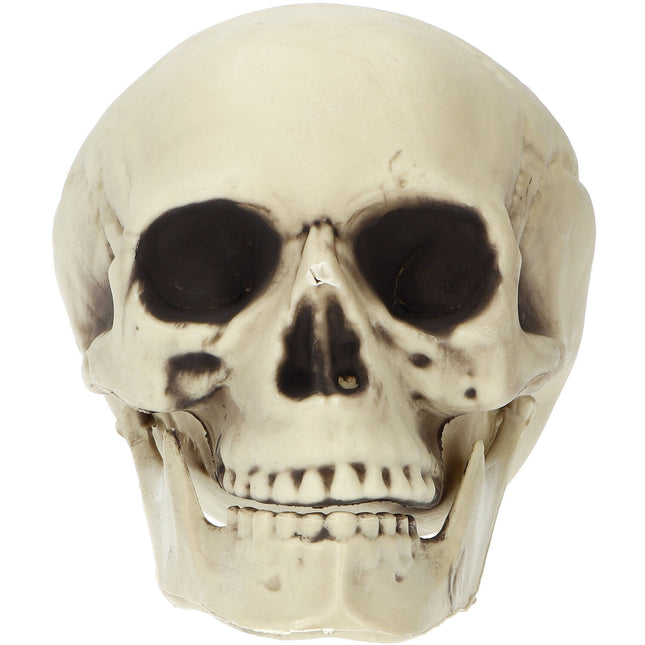 Calavera de Halloween 19cm