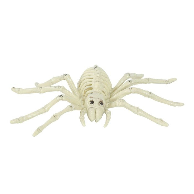 Halloween Esqueleto Araña 24cm