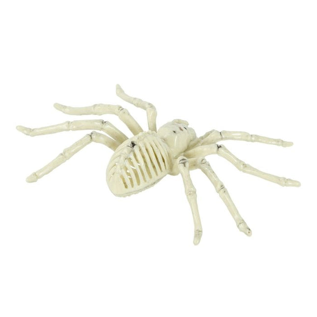 Halloween Esqueleto Araña 24cm