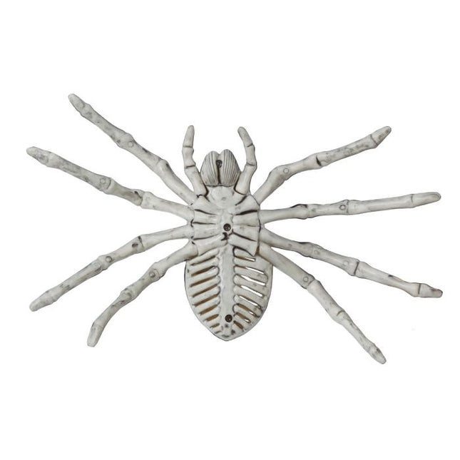 Halloween Esqueleto Araña 24cm