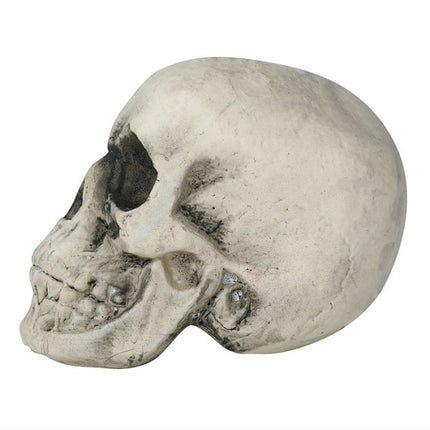 Calavera de Halloween 22cm