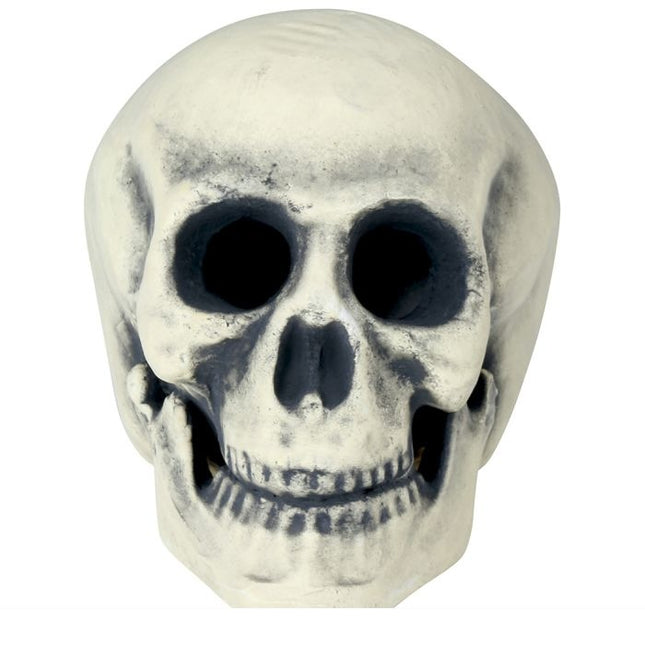 Calavera de Halloween 32cm