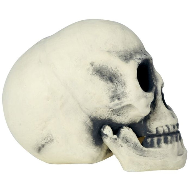 Calavera de Halloween 32cm