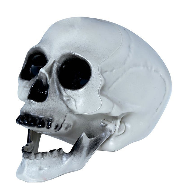 Calavera Halloween Gris 20cm