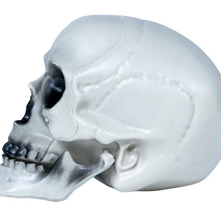 Calavera Halloween Gris 20cm