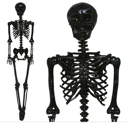 Decoración Colgante Halloween Esqueleto Negro 90cm