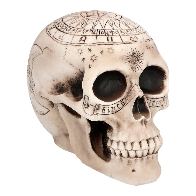 Calavera de Halloween Astronomía 20cm