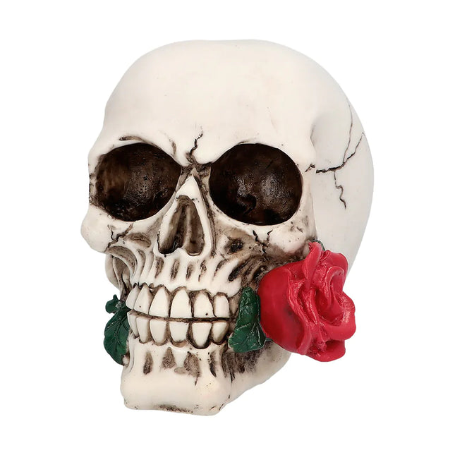 Calavera de Halloween Casanova 13,5cm