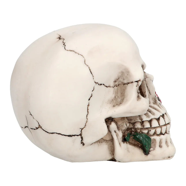 Calavera de Halloween Casanova 13,5cm