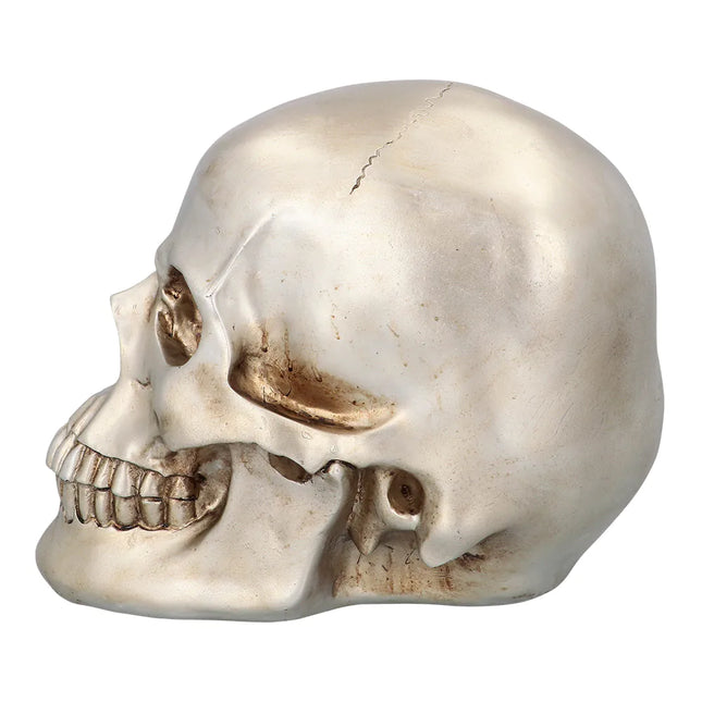 Calavera de Halloween Brillo 26cm