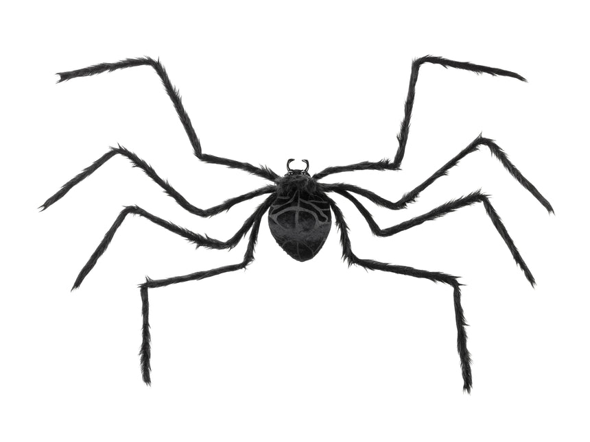 Araña falsa negra Xl