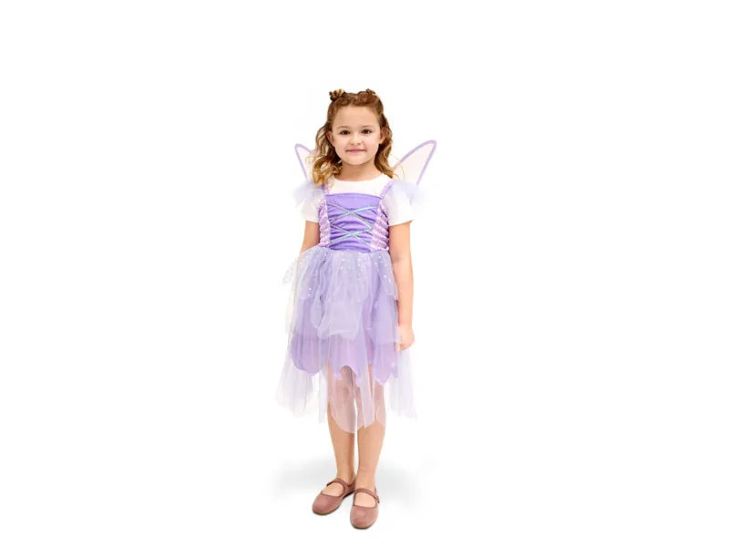 Fairy costume with wing