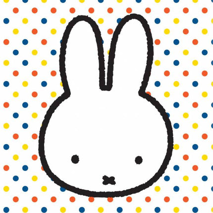 Miffy Bolsas Compartidas 23cm 6pcs