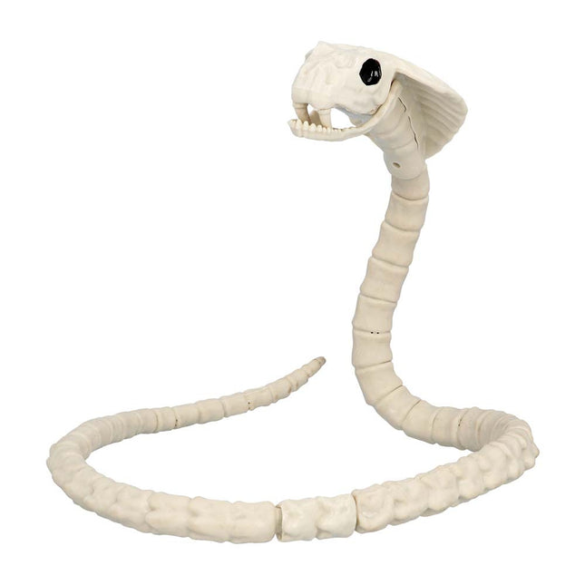 Halloween Esqueleto de serpiente 102cm