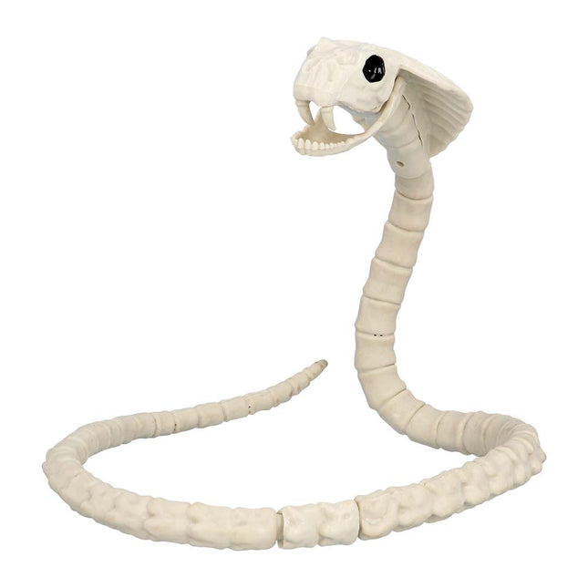 Halloween Esqueleto de serpiente 102cm