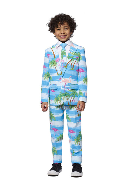 Traje Hawai Niño Flamingo