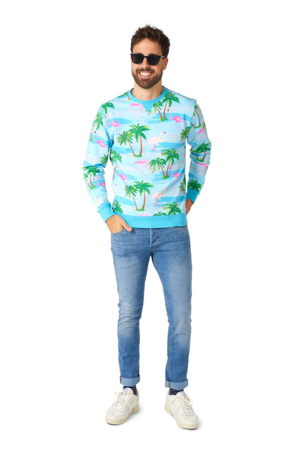 Hawaii Flamingo Sweater Hombres OppoSuits