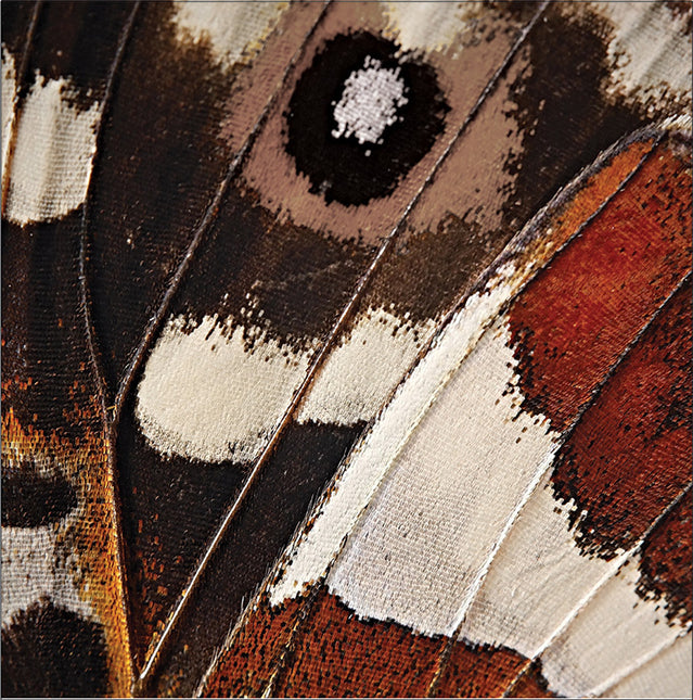 Servilletas de Colores Mariposa 25cm 24pcs
