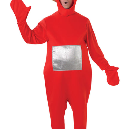 Traje Teletubbies Po M