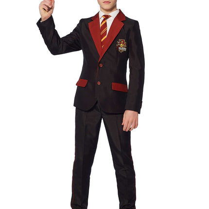 Traje Harry Potter Niño Gryffindor