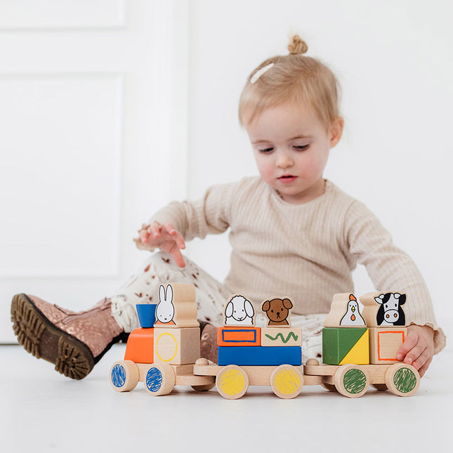 Tren de bloques Miffy