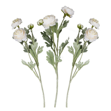 Flores secas Rancula Tallos 45cm 3pcs