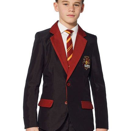 Traje Harry Potter Niño Gryffindor