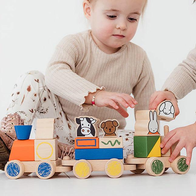 Tren de bloques Miffy