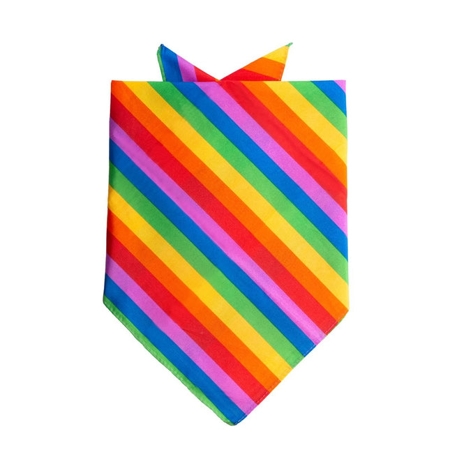 Bandana Arco Iris 55cm