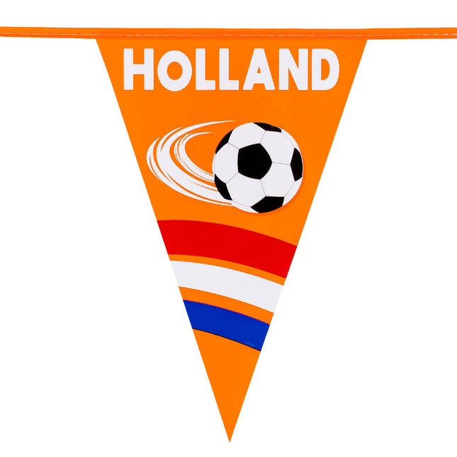 Guirnalda de Holanda 6m