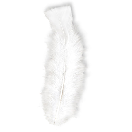 Plumas blancas 50 unid.