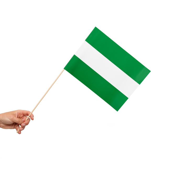 Bandera de Rotterdam Con Asta 50cm 10pcs