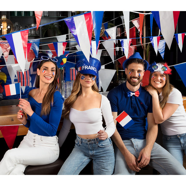 Línea de bandera Francia 10m