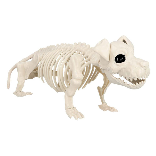 Halloween Perro Esqueleto 52cm