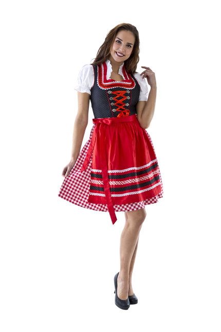 Rojo Blanco Dirndl Vestido Oktoberfest Damas Cuadros