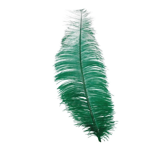 Plumas de avestruz verdes 30cm 12uds.