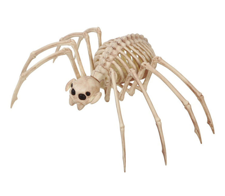 Halloween Tarantula Esqueleto 35x20cm