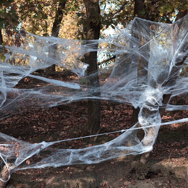 Halloween Spider Wrag Set 26 piezas