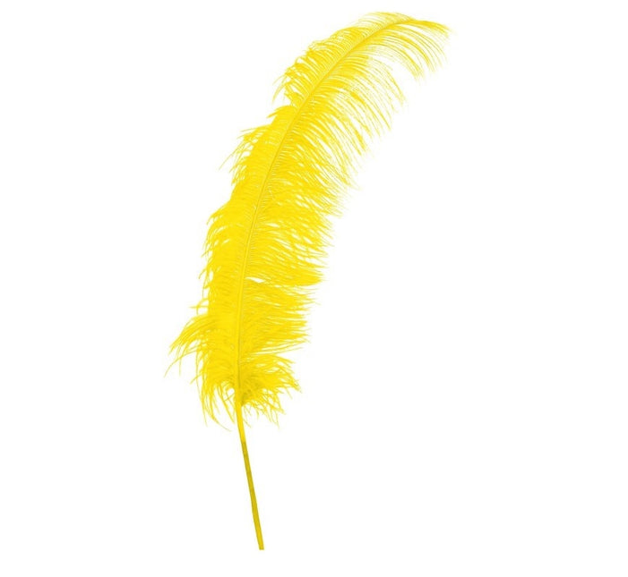 Plumas de avestruz amarillas 50cm 12uds.