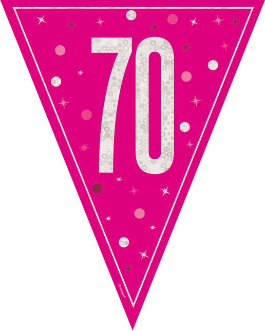 70 Años Guirnalda Rosa 2,5m