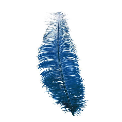 Plumas de avestruz azules 30cm 12uds.