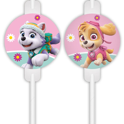 Paw Patrol Pajitas Skye Y Everest 4pcs