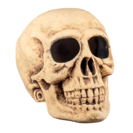 Calavera de Halloween Masterbrain 47cm